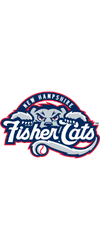 New Hampshire Fisher Cats website